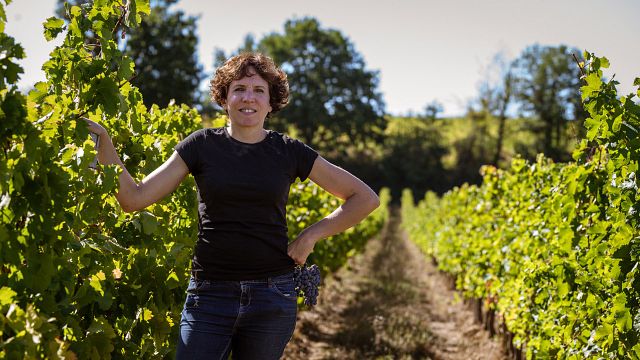 Visite et dégustation de vins
