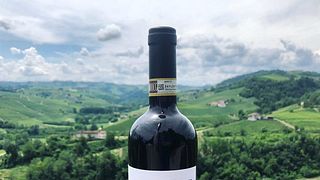Vinprovning och rundtur på Giacosa Fratelli