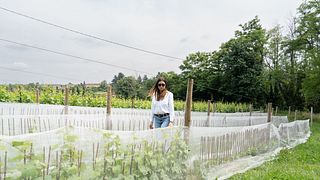 Vinho, família e vida