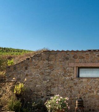 Muschi Alti Winery