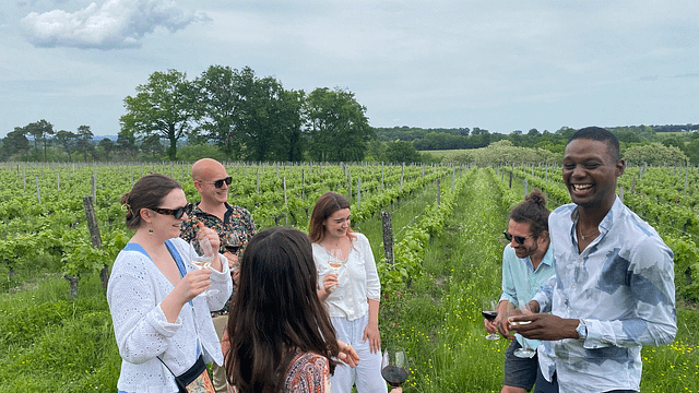 Excursão guiada de degustação de vinhos de meio dia nos vinhedos de Bordeaux