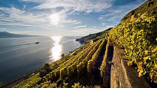 Domaine De La Crausaz
