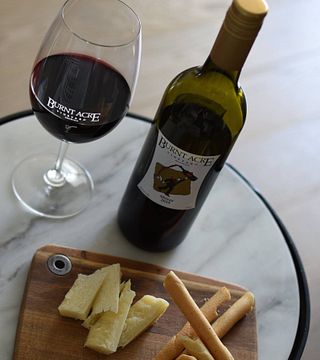 Degustazione di vini e tour al vigneto Burnt Acre