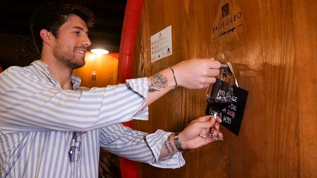 Dégustation de vins avec amuse-gueules et visite de la cave à la Cantine Paolo Leo
