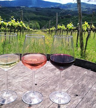 PODERE EMA BASIC & TOUR