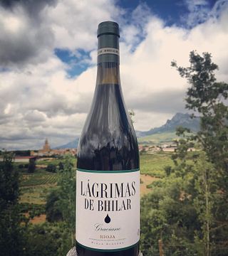 Weinprobe und Führung bei Bodegas Bhilar