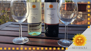 Degustação de vinhos e visita guiada à Cantine Settesoli