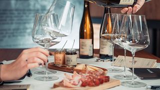 Explore Ancient Vineyards & Heritage Wines in Trentino