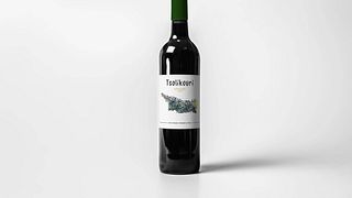 Cata de vinos y visita guiada en Oda Family Marani