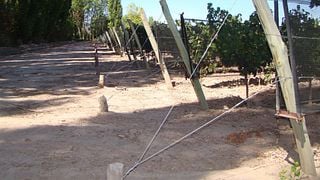Dégustation de vins et visite des caves à vin, Co.