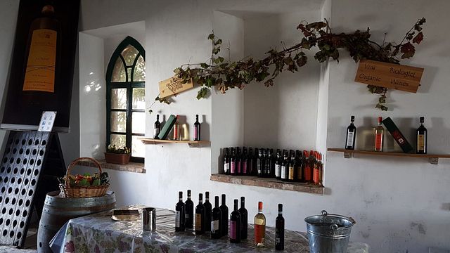 Klassisk vinprovning och rundtur på Ca 'D Tantin Organic Wines