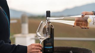 Villa Melnik Winery