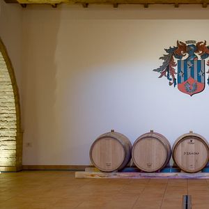 Visite et dégustation de vins avec produits locaux chez D'Erasmo Vini avec nuitée