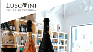 Dégustation de vins essentiels - Pedra Cancela