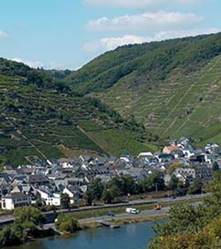 Vinprovning på Terrassenweingut Dötschhaupt