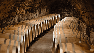 Dégustation de vins et chasse au trésor en cave avec 6 vins doux