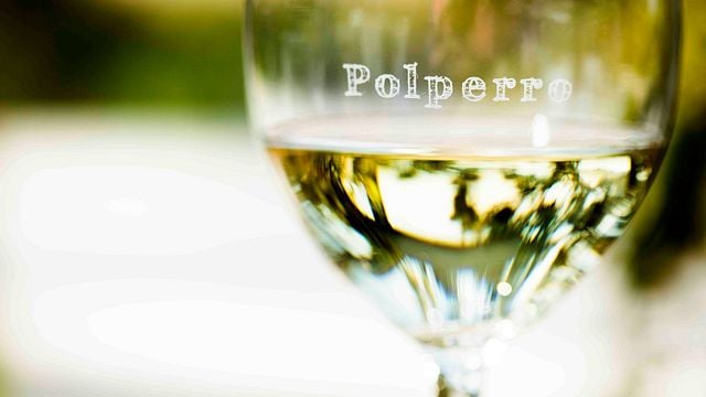 Degustazione di vini e tour presso l'azienda vinicola Polperro