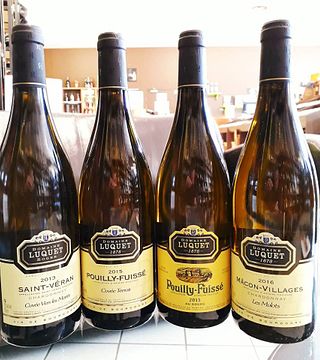 Degustazione e visita del vino al Domaine Luquet dal 1878