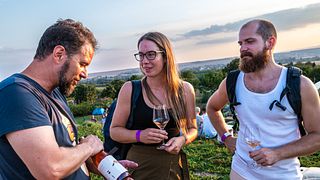 MAGULA: Visita a la bodega