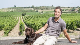 Vinprovning och rundtur på Château Guilhem