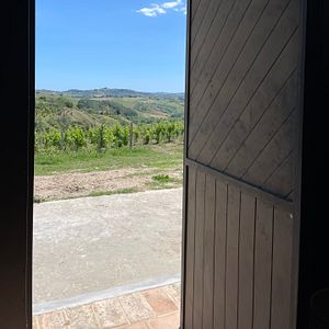 Visita y cata de vinos con productos locales en D'Erasmo Vini con alojamiento