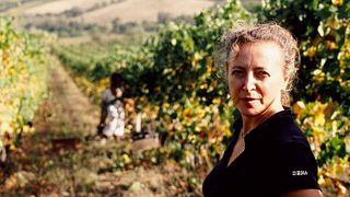 Cata de vinos y visita guiada en Lusenti vini