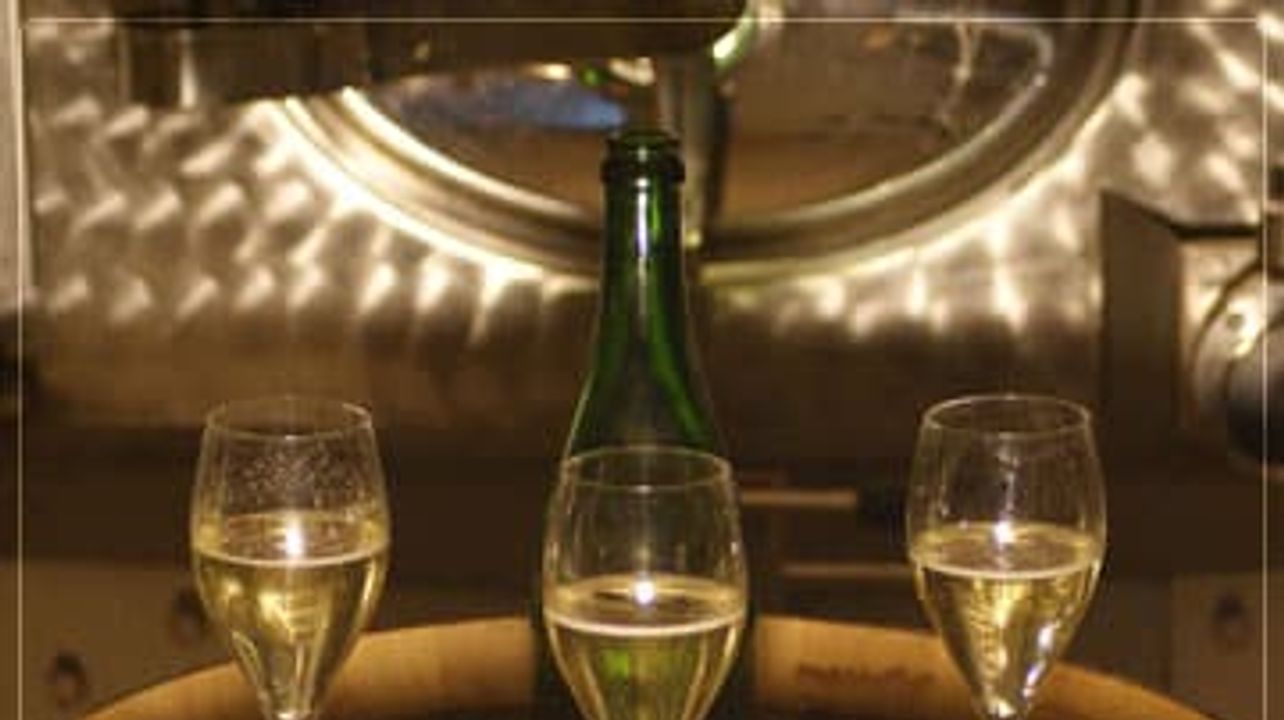 Cata y visita de champán en Champagne Pierre-Emmanuel Paquay
