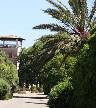 Bodega Finca Biniagual