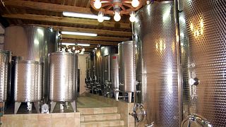 Vinarija Darko Vrbanek