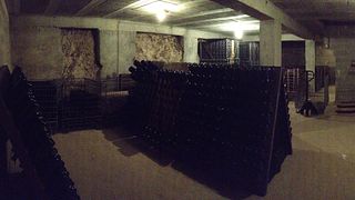 Champagne Poirot: Vineyard Stroll & Cellar Tasting