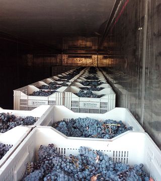 Bodegas Lavia