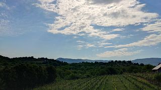 S&S Winery
