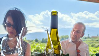 Visite du vignoble historique de l'Etna DOC et dégustation au Casale 120