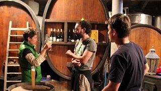 Degustazione di vini e visita a Vignoble Klur