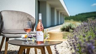 Degustazione di vini presso l'azienda vinicola Lajver