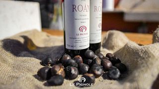 Veneto Wine & Flavors Tour at Le Pignole