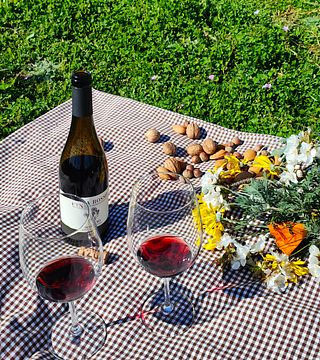 Casale 120 Picnic