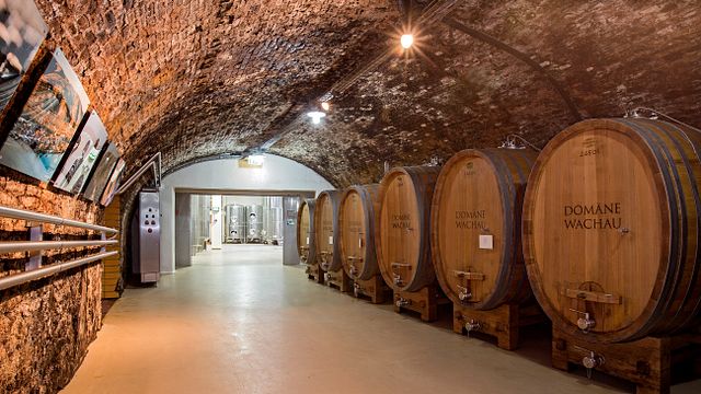 Weinprobe und Führung in der Domäne Wachau