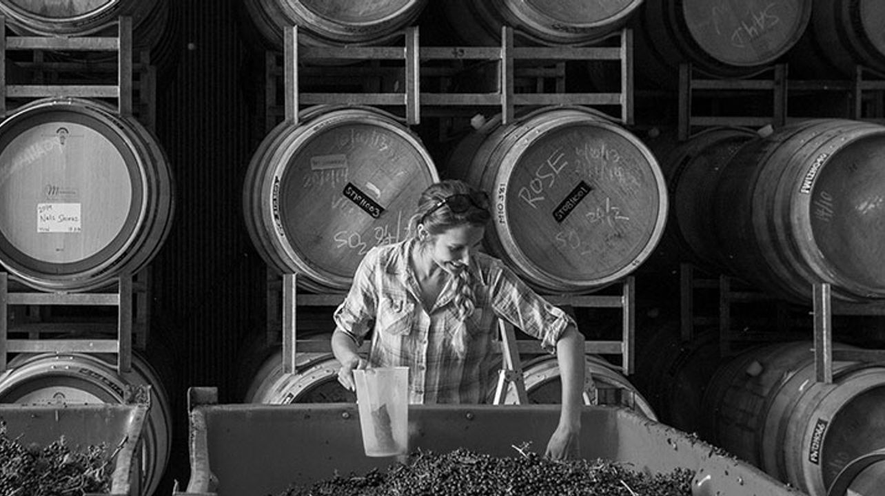 Besuch und Weinprobe im Weingut Loom