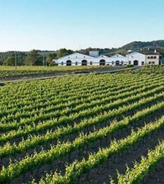 Nadal Winery