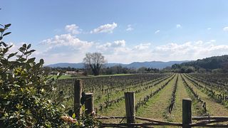 Dégustation de vins et visite historique au Château Saint-Pierre De Mejans