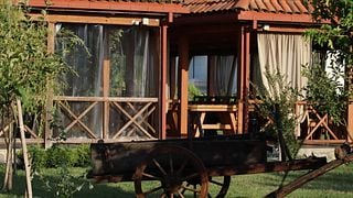Wine Tasting & Winery Tour at Naberauli Wines