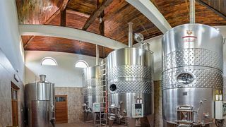 Wine Tasting and Tour at Family Boutique Winery Kiossev