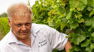 Engelhard's Wine Time Picnic