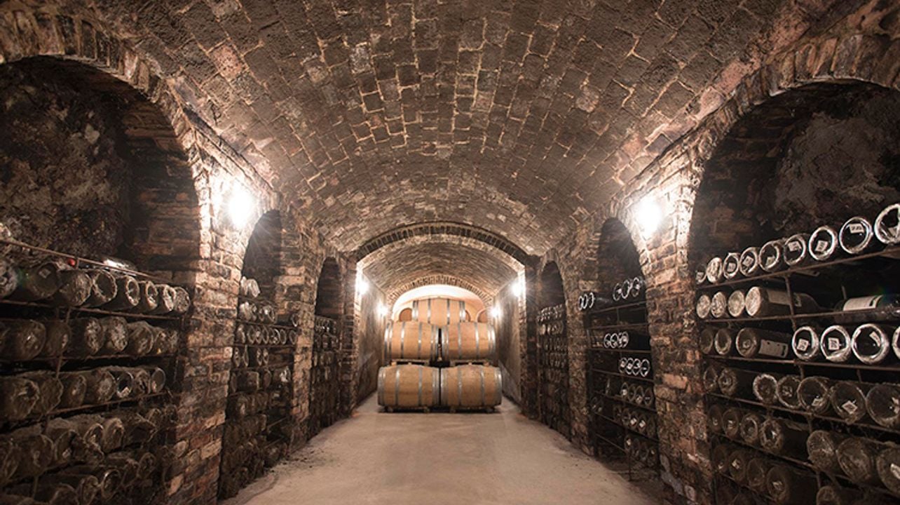 WINE TASTING