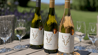 Von der Traube ins Glas: Weinbergtour und Weinprobe bei Deer Park Wines