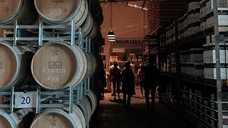 Weinprobe und Tour auf dem Weingut Zema