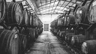 Sardinian Vernaccia: Fratelli Serra Vineyard Tasting