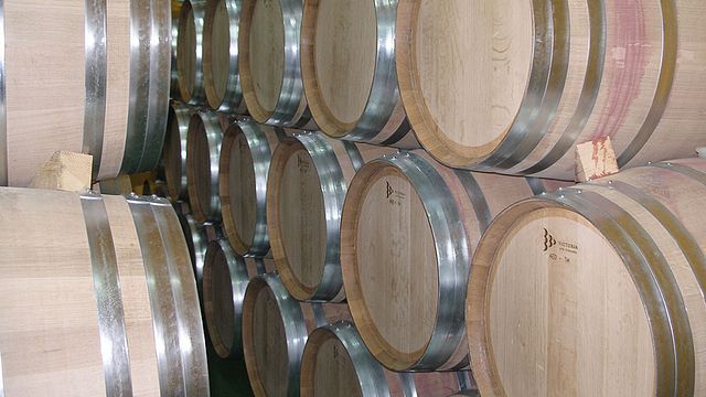Bodega Campos De Dulcinea