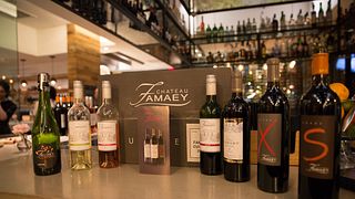 Degustazione di vini e tour allo Chateau Famaey